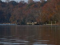11-19-16-Nanjemoy-22822