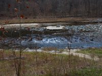 11-25-16-Patapsco Valley State Park-22831