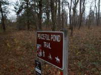 11-25-16-Patapsco Valley State Park-22914