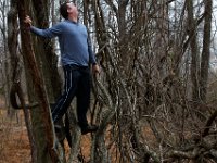 11-25-16-Patapsco Valley State Park-22931