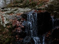 11-25-16-Patapsco Valley State Park-23004