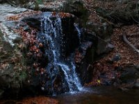 11-25-16-Patapsco Valley State Park-23009