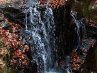 11-25-16-Patapsco Valley State Park-23023