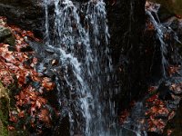 11-25-16-Patapsco Valley State Park-23037