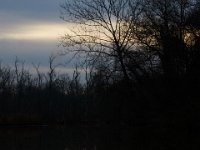 12-13-15-Piscataway-29236
