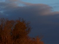 12-16-15-Mattaponi-29466