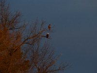 12-16-15-Mattaponi-29469