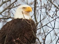 02-19-17-Nanjemoy-24047