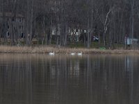 03-25-17-Piscataway-24276
