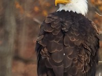 03-25-17-Piscataway-24431