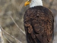 03-25-17-Piscataway-24454