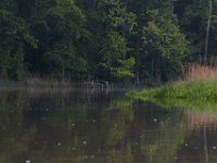 05-29-17-Nanjemoy-26614