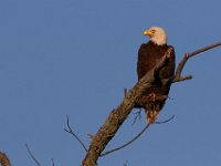 06-04-17-Piscataway-27316