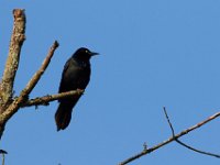 06-04-17-Piscataway-27330