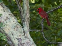 06-25-17-Piscataway-29493