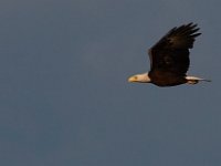 06-25-17-Piscataway-29515
