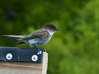 06-25-17-Piscataway-29517