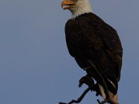 06-25-17-Piscataway-29639