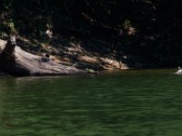06-30-17-Rocky Gorge with T-29887