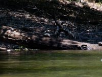 06-30-17-Rocky Gorge with T-29929