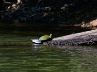 06-30-17-Rocky Gorge with T-29954