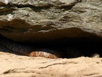 07-02-17-Rocky Gorge-West-20138