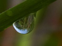 07-15-17-Nanjemoy-East-21184 1