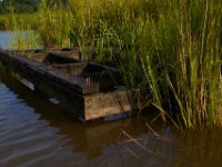 07-15-17-Nanjemoy-East-21222
