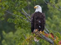 08-19-17-Piscataway-23141