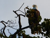 08-19-17-Piscataway-23238