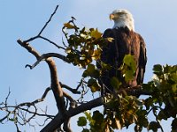 08-19-17-Piscataway-23270