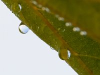 08-27-17-Nanjemoy-23700