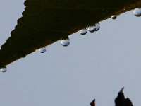08-27-17-Nanjemoy-23719
