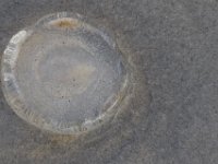 08-06-17-Corolla-21683