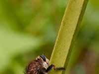 09-03-17-Rt 4-Hills Bridge-24434