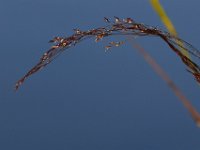 09-04-17-Mattawoman Creek-25196