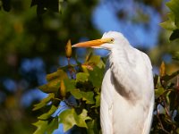 09-04-17-Mattawoman Creek-25406