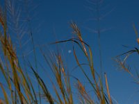 09-09-17-Nanjemoy-25774