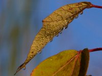 09-09-17-Nanjemoy-25806