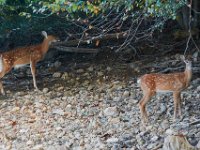 09-16-17-Rocky Gorge26015