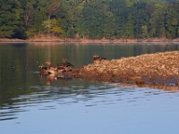 09-16-17-Rocky Gorge26035
