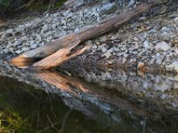 09-16-17-Rocky Gorge26053