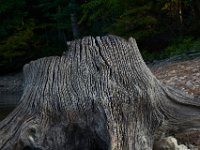09-16-17-Rocky Gorge26137