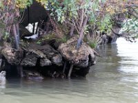 10-14-17-Mallows Bay-27651