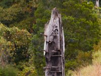 10-14-17-Mallows Bay-27731