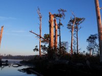 10-21-17-Blackwater-28042