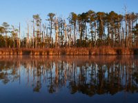 10-21-17-Blackwater-28074