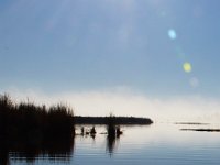 10-21-17-Blackwater-28416