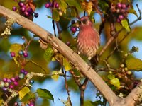 10-22-17-Piscataway-28868