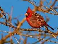 10-22-17-Piscataway-28886